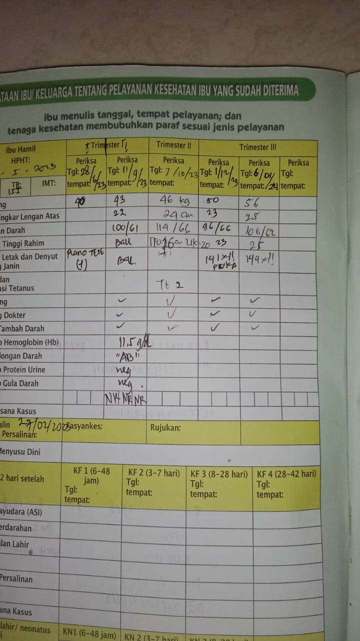 Kunjungan Kedua: Pemantauan Kesehatan Ibu dan Janin